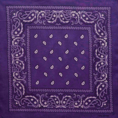 Image of Classic Paisley Bandana - Purple