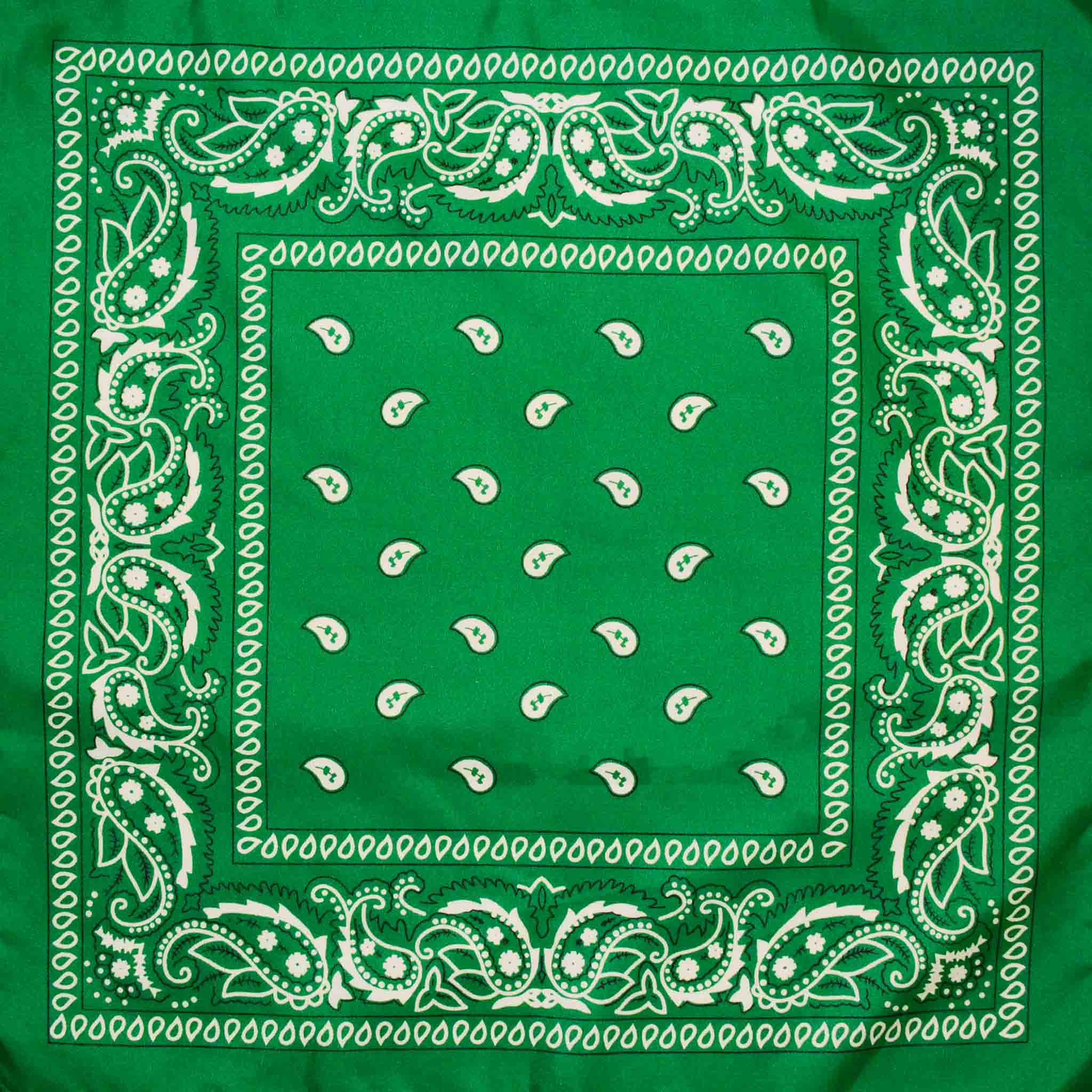 Classic Paisley Retro Bandana Green – Atomic Cherry