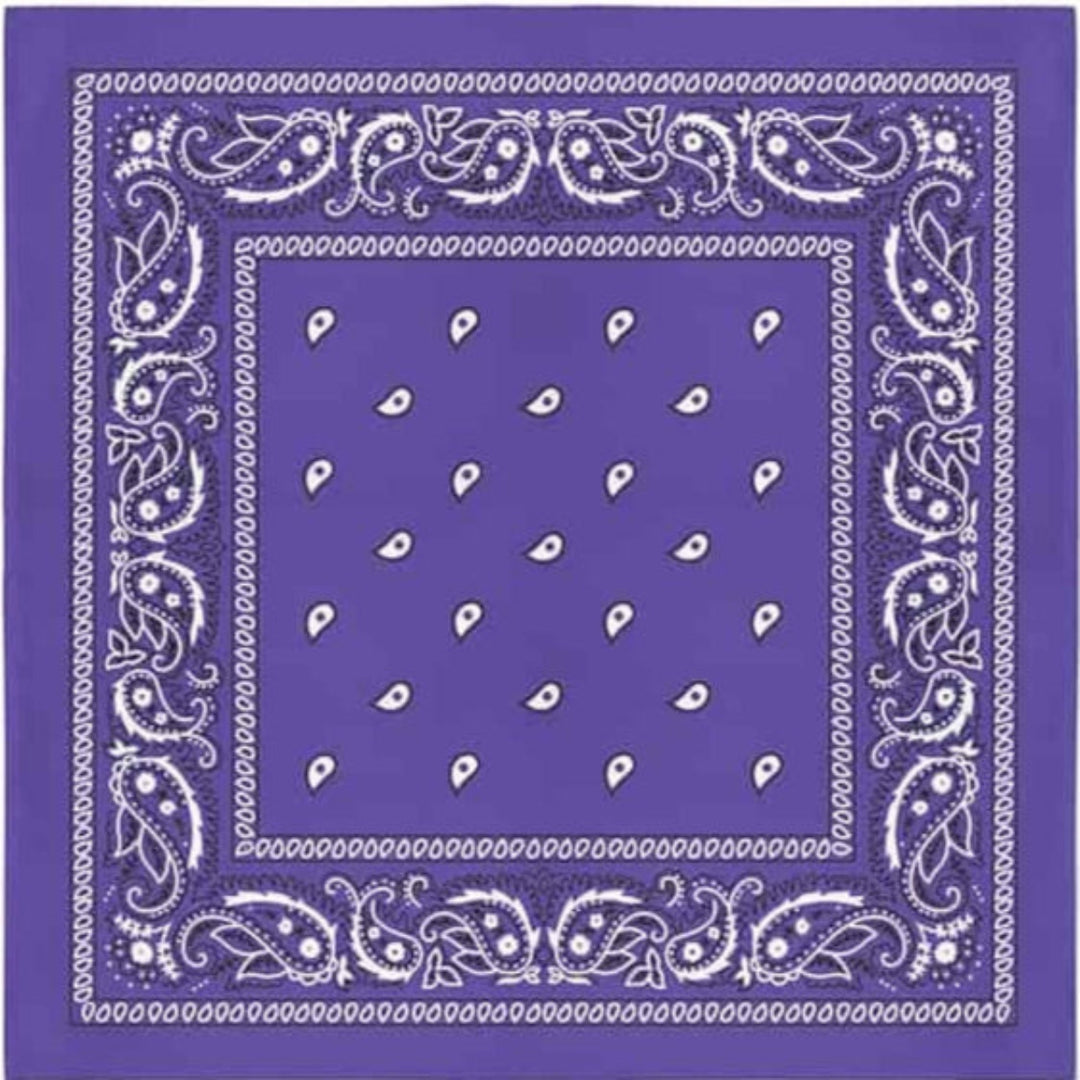 Image of Classic Paisley Bandana - light purple