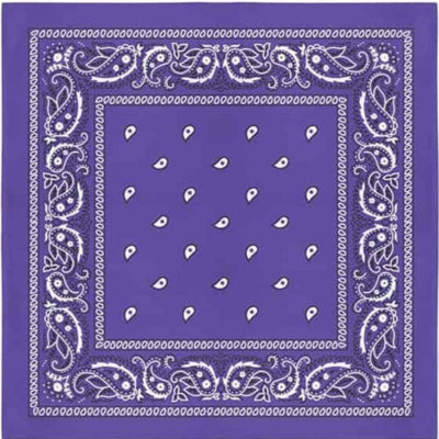 Image of Classic Paisley Bandana - light purple