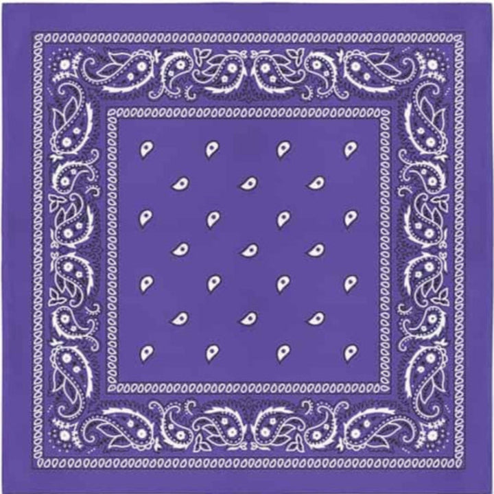 Classic Paisley Bandana - Atomic Cherry Retro Rockabilly