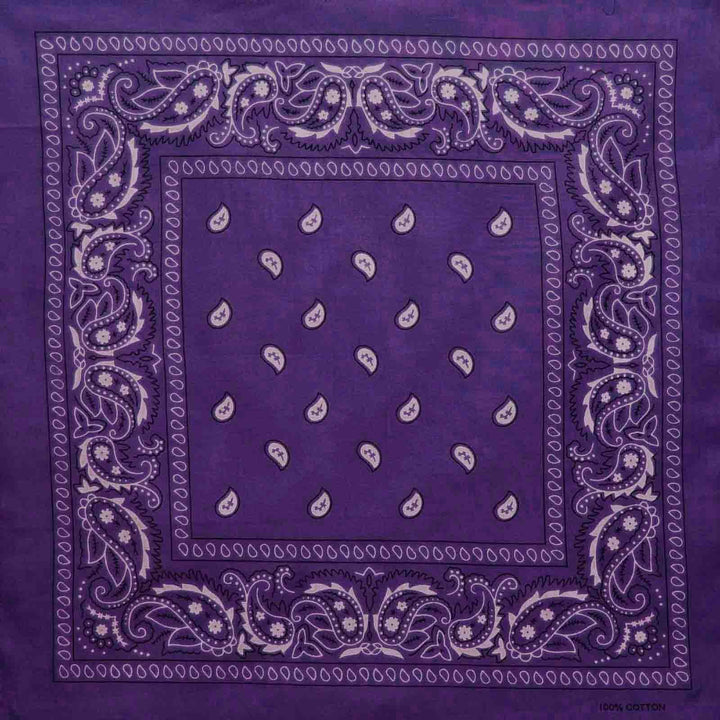 Classic Paisley Bandana - Atomic Cherry Retro Rockabilly