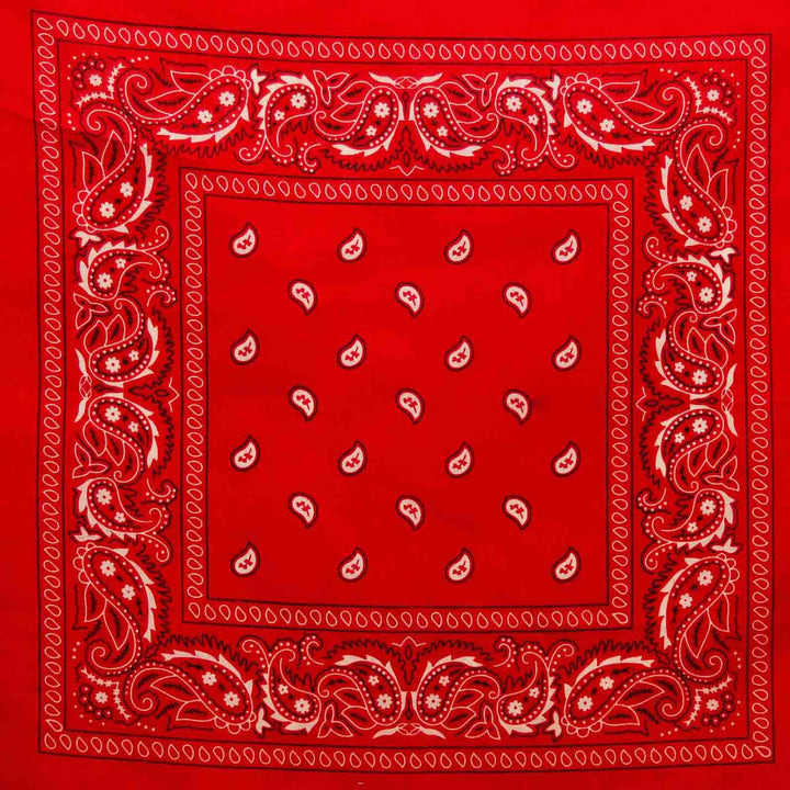 Classic Paisley Bandana - Atomic Cherry Retro Rockabilly