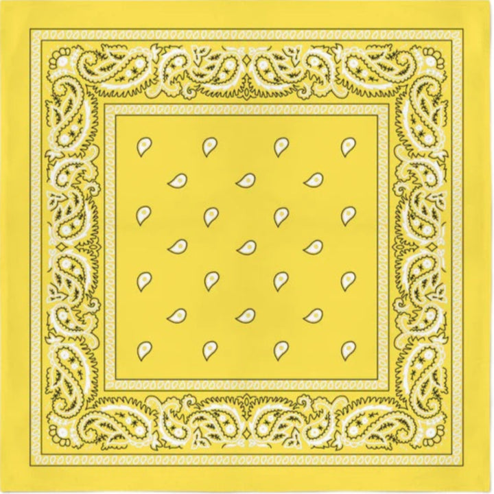 Classic Paisley Bandana - Atomic Cherry Retro Rockabilly