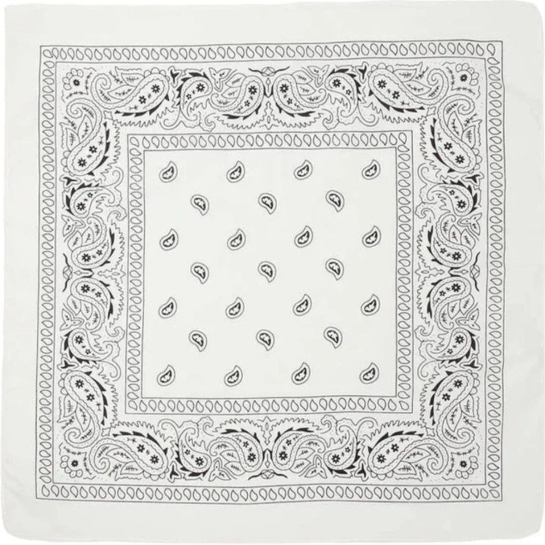 Image of Classic Paisley Bandana - White