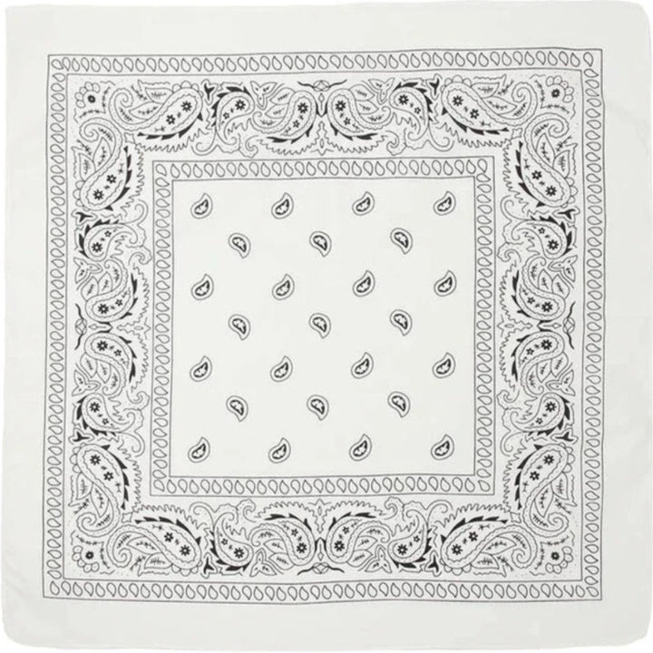 Classic Paisley Bandana - Atomic Cherry Retro Rockabilly