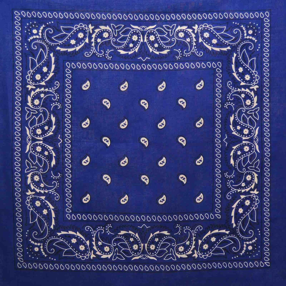 Image of Classic Paisley Bandana - Blue