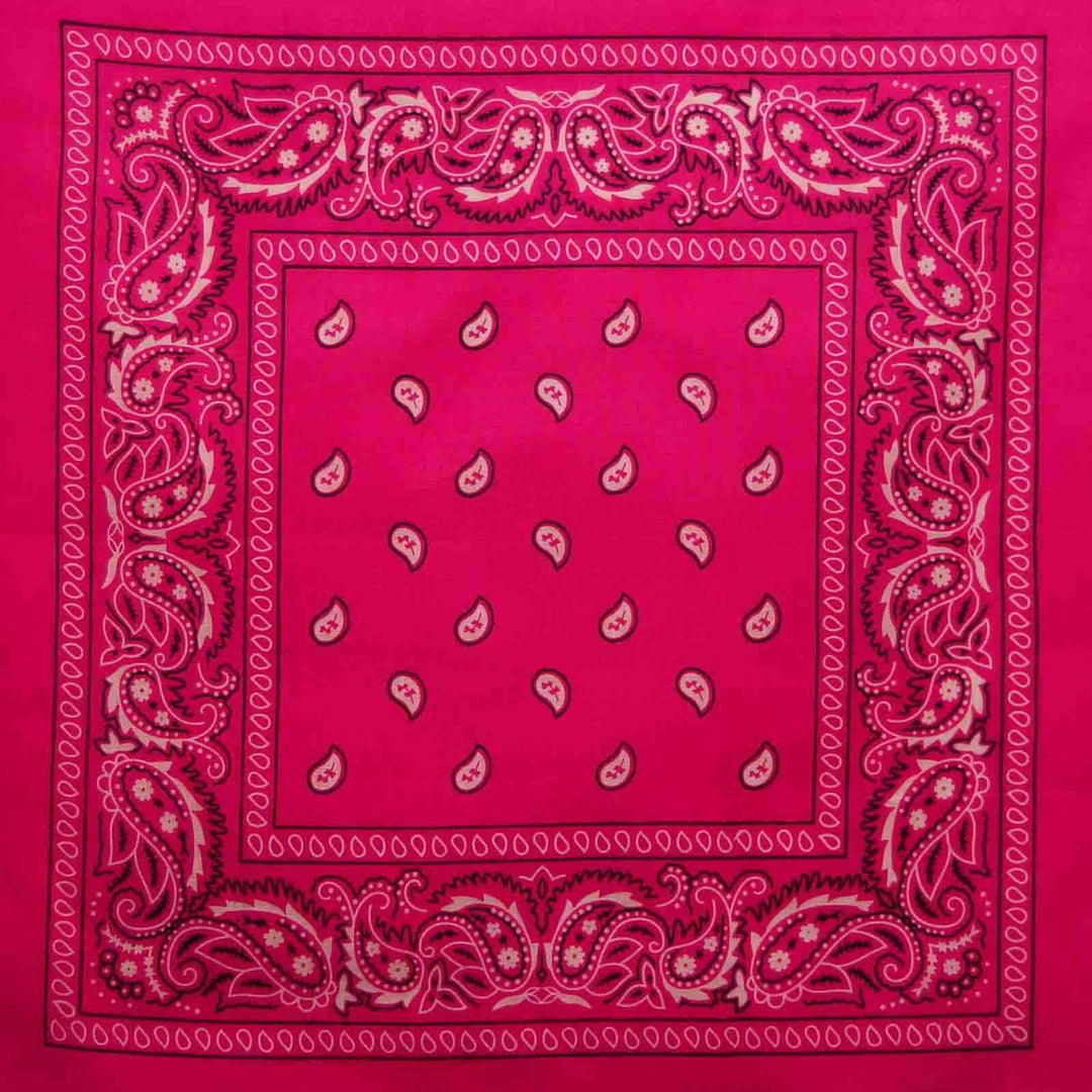 Image of Classic Paisley Bandana - Hot Pink