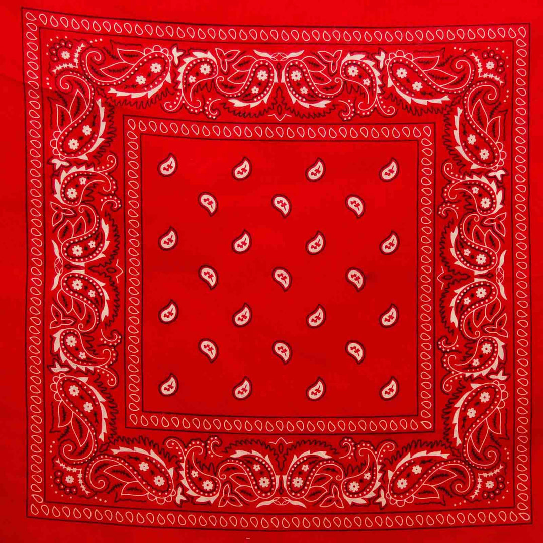 image of Classic Paisley Bandana - Red