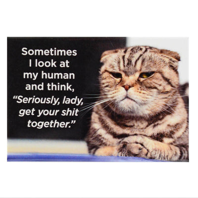 Sometimes I Look At My Human And Think Seriously Lady Get Your Shit Together Fridge Magnet
